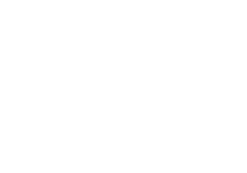 distem logo